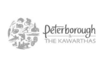 pkt logo